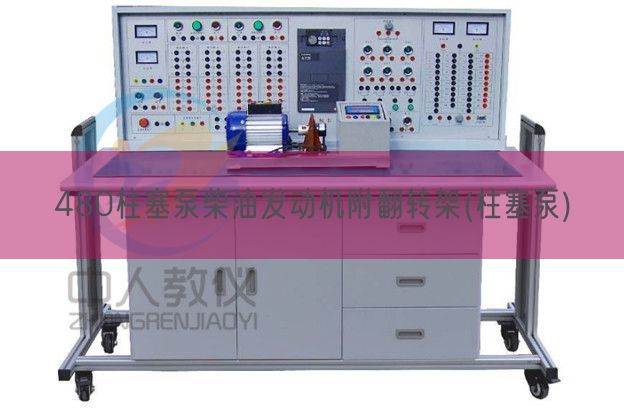 480柱塞泵柴油策念头附翻转架(柱塞泵)(图1) 480柱塞泵柴油策念头附翻转架(柱塞泵)(图1)